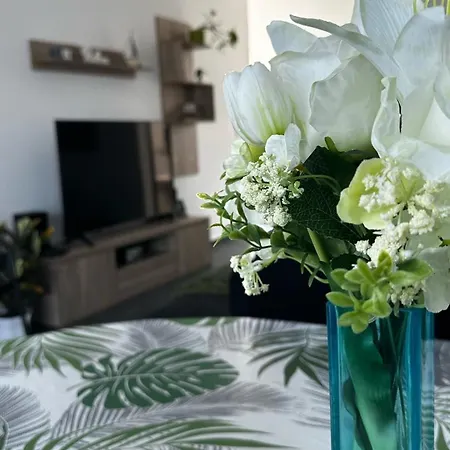 Belle * 巴拉通雷勒