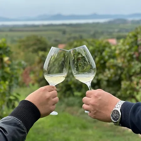 Belle * 巴拉通雷勒