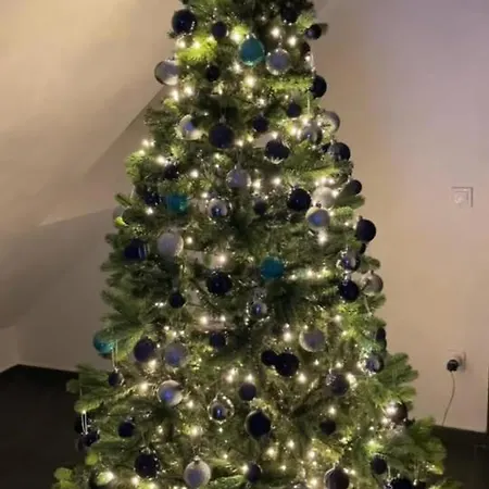 公寓 Belle 巴拉通雷勒